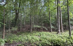 124 Navajo Drive, Louisburg, NC 27549