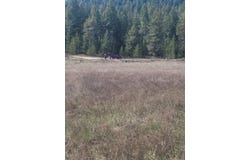 4528 Stonebrook Way, Springdale, WA 99173