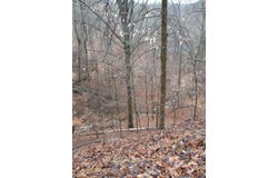 S Fork Road, Stanton, KY 40380