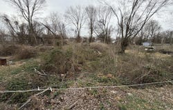 1228 N Glenn Avenue, Springfield, MO 65802