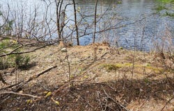 955 Ossipee Trail W, Standish, ME 04084