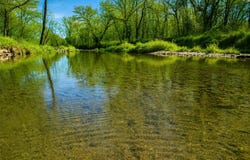 305 Thomas Street, Birch Tree, MO 65438