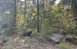 Maters Lane, Mountain View, AR 72560