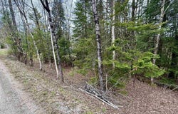 227 Dukes Road, Johnson, VT 05656