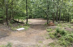 1656 Walnut Valley Drive, Dover, AR 72837