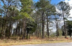 New Road, Columbia, NC 27925