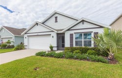 11933 DOWNY BIRCH Drive, RIVERVIEW, FL 33569