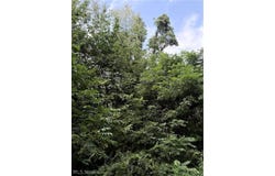 Center Road, Garrettsville, OH 44231