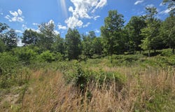 Seneca Trl S, Peterstown, WV 24963