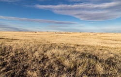 TEEPEE RD, Carpenter, WY 82054