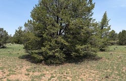 7 GILA Dr, Quemado, NM 87829