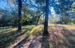 Hidden Valley Drive, Tool, TX 75143