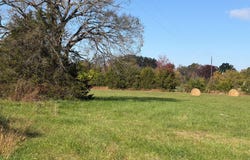20232 CEDAR GRV Road, CULPEPER, VA 22701