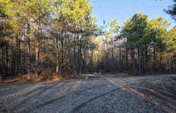 600 Southwood Lane, Rison, AR 71665