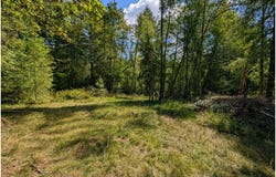NE BERRY Rd, BattleGround, WA 98604