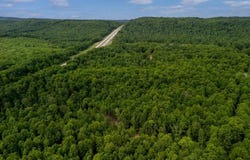 132 GERBER DAISY TRAIL, BRAGG, WV 25918