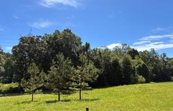 292 Bull Durham Rd., SPRINGVILLE, TN 38256