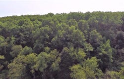 664 Grat Strasse Road, Manchester, MI 48158