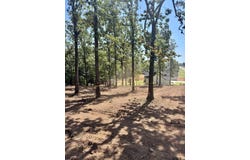 19470 CEDARPARK PL, Lindale, TX 75771