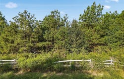 Tract A Five Forks Road, Anderson, SC 29621