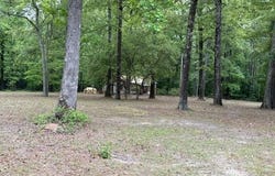 801 Nevada 49, Buckner, AR 71827