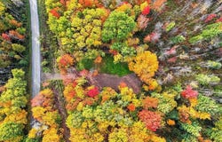 12.1 ac Mercur Hill Rd, Wyalusing, PA 18848