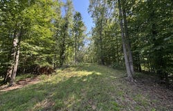 BOOZER RD, heflin, AL 36264