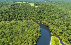 COUNTY ROAD 3905, Arley, AL 35541