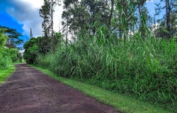 COOK ST, Pahoa, HI 96778