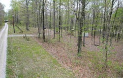 Tract 3 E Pine Road Common, Bloomfield, IN 47424