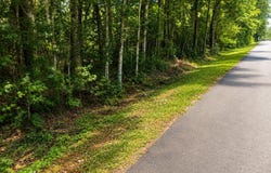 17th Avenue, Franklinton, LA 70438