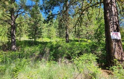 GOLD MOUNTAIN Rd, REPUBLIC, WA 99166
