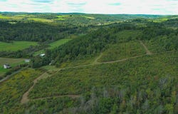 1738 Jennings Rd, Millerton, PA 16936