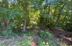 9999 Roberts Bend Road, Burnside, KY 42519