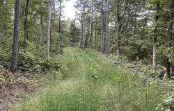 11766 Highway 65, Dennard, AR 72629