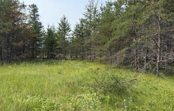 361 E M35 Highway, Gwinn, MI 49841