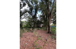 PALMETTO STREET, EUSTIS, FL 32726