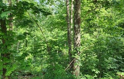 Lakeview Trail, HOLLADAY, TN 38341
