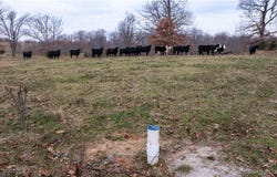 12765 Buckeye Road, Crocker, MO 65452