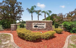 12124 COLONIAL ESTATES Lane, RIVERVIEW, FL 33579