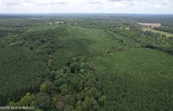 Smith County Road, Raleigh, MS 39153