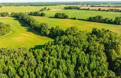 Riddick Road, Friendship, TN 38034