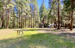 33117 Sites Road, Shingletown, CA 96088