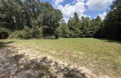 286 Shrike Road, St. Matthews, SC 29135
