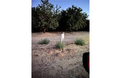 46, Lost Hills, CA 93249