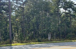 BLACK HORSE Pike, HAMMONTON, NJ 08037