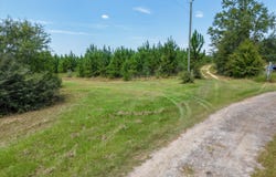 Beechum Lane, Marianna, FL 32448