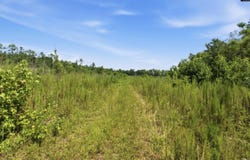 3390 Hunter Road lot: 2, Kershaw, SC 29067