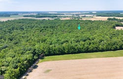 TRUNK Road, HENDERSON, MD 21640