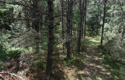 8501 Lawsontown Rd, Adger, AL 35444